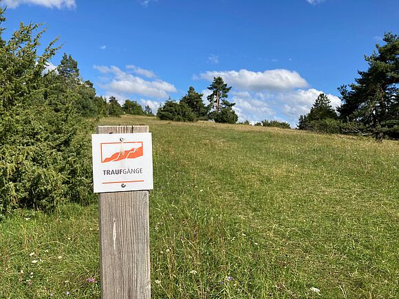 Wegweiser Traufgänge