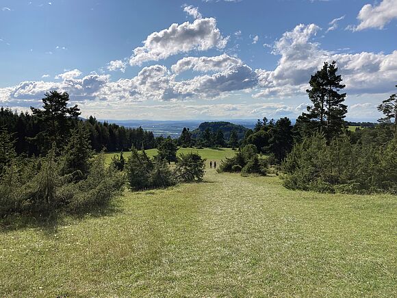 Gang über die Albwiesen