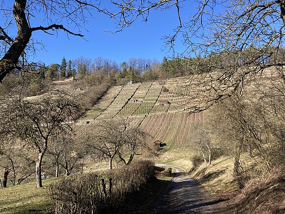 Weinberge gaben dem Wegle seinen Namen